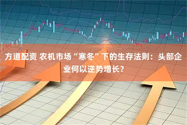 方道配资 农机市场“寒冬”下的生存法则：头部企业何以逆势增长？