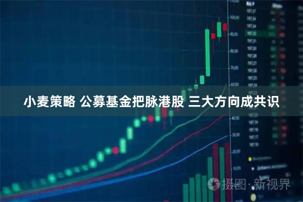 小麦策略 公募基金把脉港股 三大方向成共识