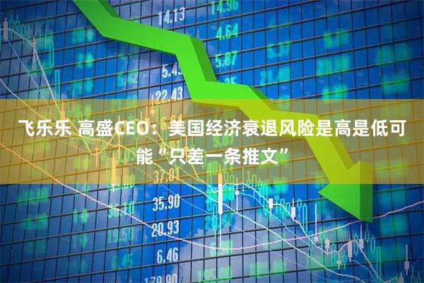飞乐乐 高盛CEO：美国经济衰退风险是高是低可能“只差一条推文”