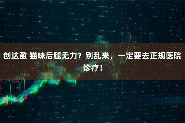 创达盈 猫咪后腿无力？别乱来，一定要去正规医院诊疗！
