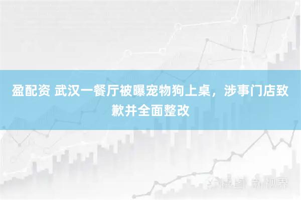 盈配资 武汉一餐厅被曝宠物狗上桌，涉事门店致歉并全面整改